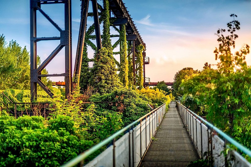 Landschaftspark Nord mit Pflanzen und Spaziergängerbrücke